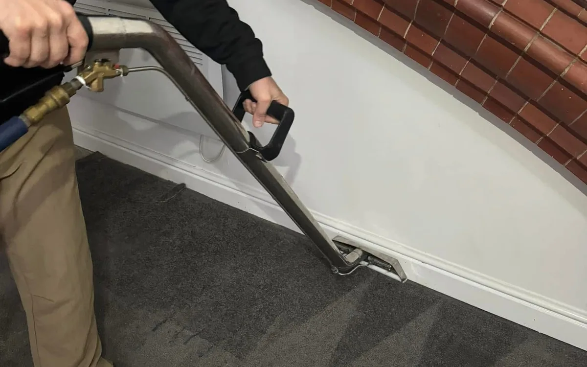 carpet clean