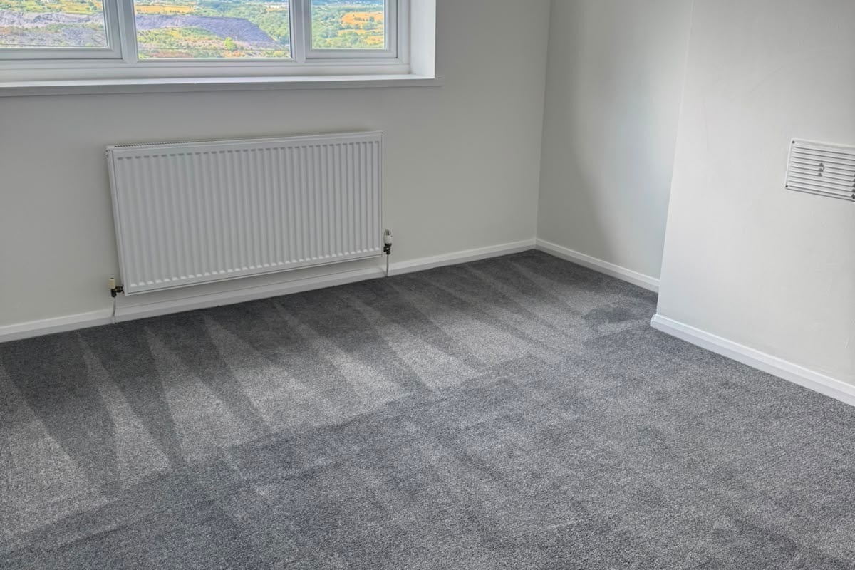 Carpet cleaned before handover in North Wales